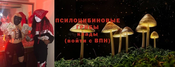 хмурый Богородицк