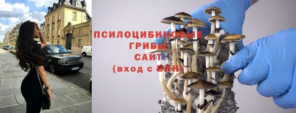 амф Богородск