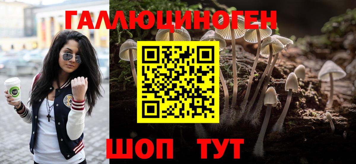 Галлюциногенные грибы MAGIC MUSHROOMS Губкинский
