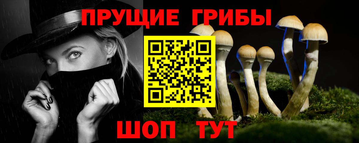 Псилоцибиновые грибы Psilocybine cubensis  Вход с VPN  Губкинский 