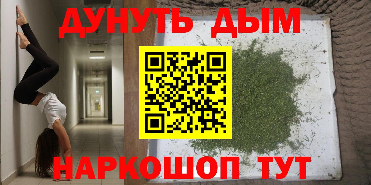 Каннабис OG Kush Губкинский
